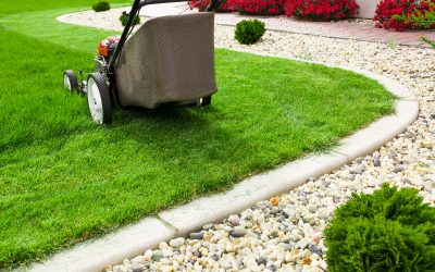 Enhancing kerb appeal with residential landscaping Glenelg SA for modern Australian homes