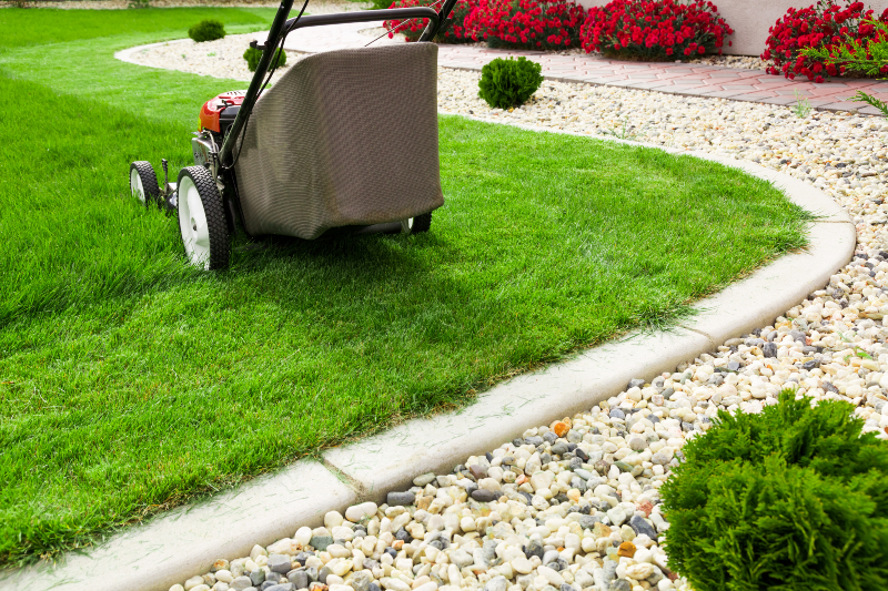 Enhancing kerb appeal with residential landscaping Glenelg SA for modern Australian homes