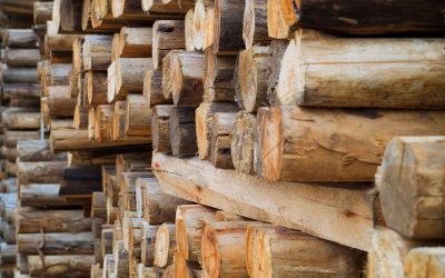 Cosy up this winter with Jarrah firewood in Perth WA for premium home heating solutions